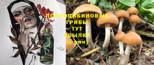mdpv Осинники