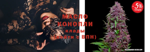крисы Галич