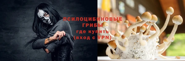 прущие крисы Осташков