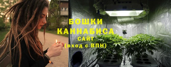 крисы Галич