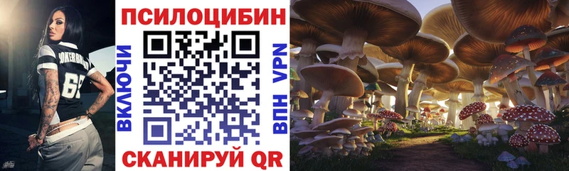 Псилоцибиновые грибы Magic Shrooms купить наркотик Кумертау