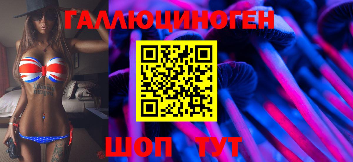 Галлюциногенные грибы GOLDEN TEACHER  Кумертау  Псилоцибиновые грибы Psilocybe 